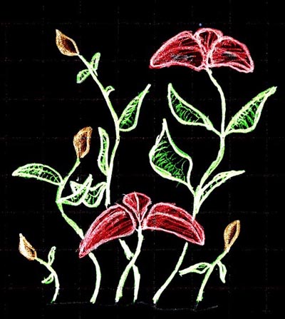 This is actually pencil on paper, just inverted and colored Original caption: Original drawing is pencil on graph paper. Bonus points if you can identify the flowers. 'cause I sure can't.