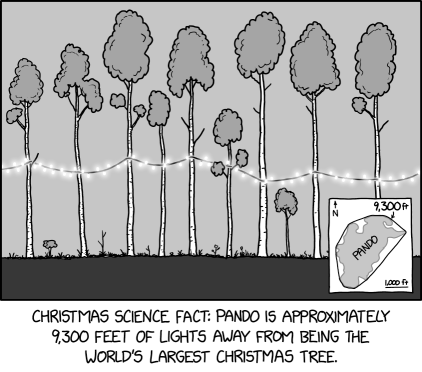 The presents under the tree are actually a single gift connected by an underground ribbon system.