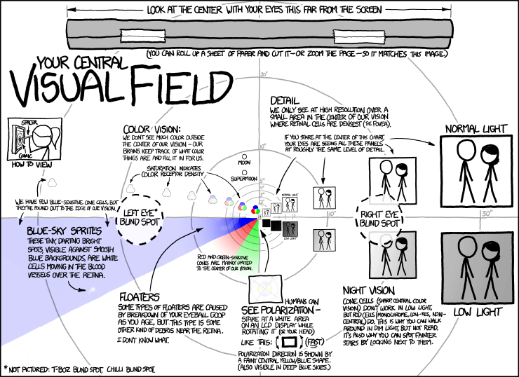 File:visual field.png