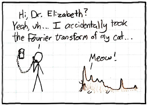 That cat has some serious periodic components