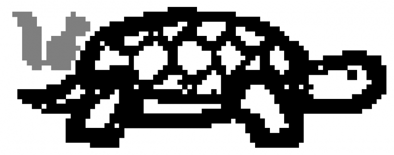 File:zoom turtle.png