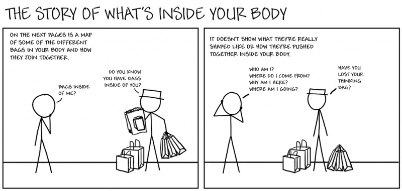 File:Inside Body.jpg