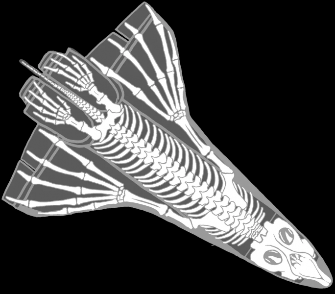File:2765 Shuttle Skeleton.png