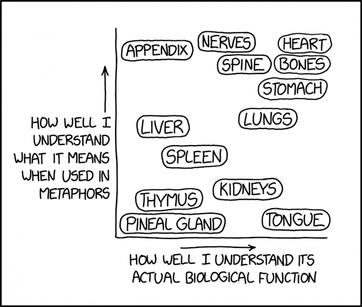 File:organ meanings 2x.png