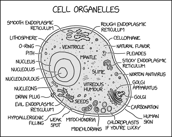 It's believed that Golgi was originally an independent organism who was eventually absorbed into our cells, where he began work on his Apparatus.