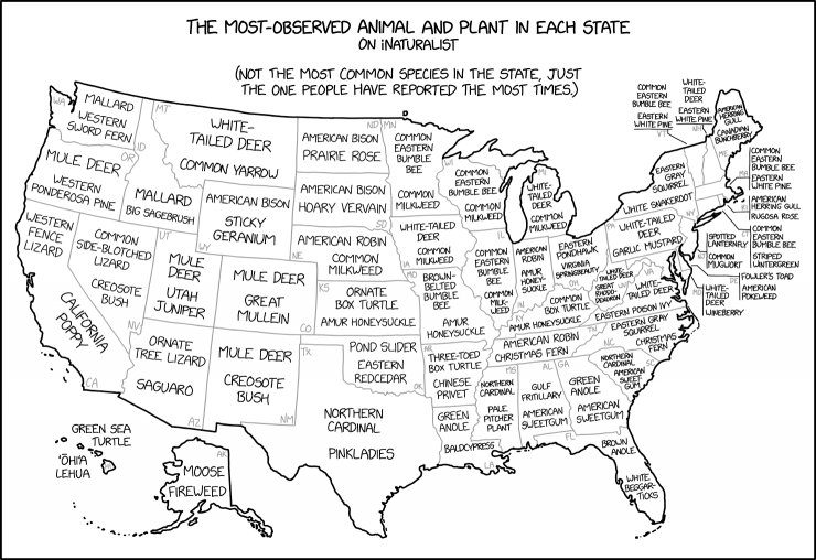 Washington, DC: Eastern gray squirrel, Amur honeysuckle. Puerto Rico: Crested anole, sea grape. US as a whole: Mallard, eastern poison ivy.